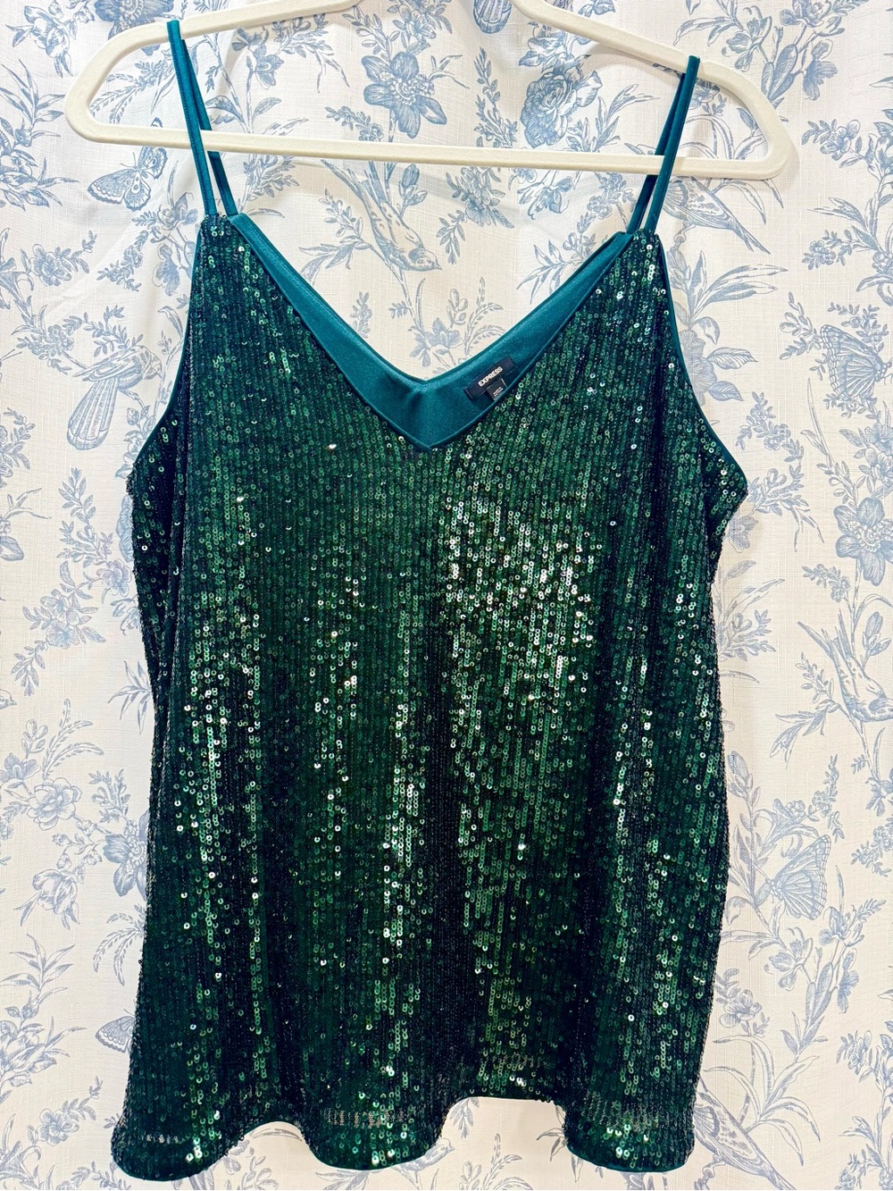 Express Emerald Green Sequin V-Neck Cami